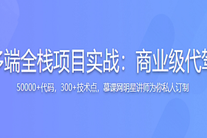 【微体系】多端全栈项目实战：商业级代驾全流程落地|完结无密