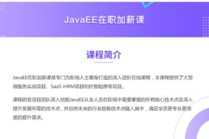 黑马博学谷-JavaEE在职加薪课【2020年升级版】【价值6980元】